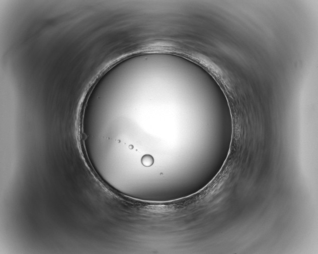 X0000096711478200802051410