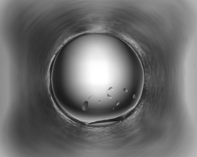 X0000096711479200802051410