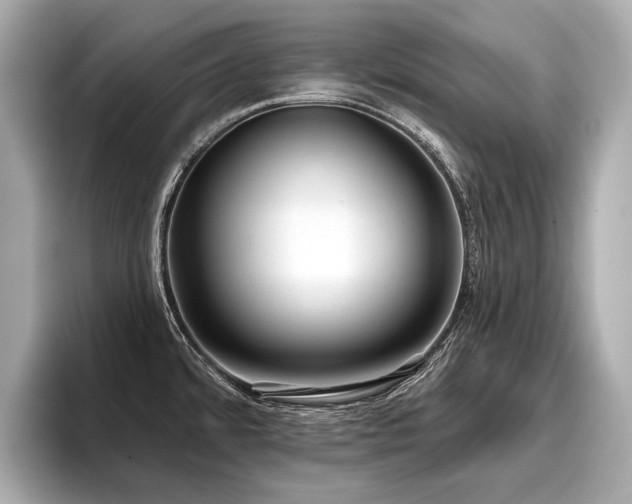 X0000096711480200802051410