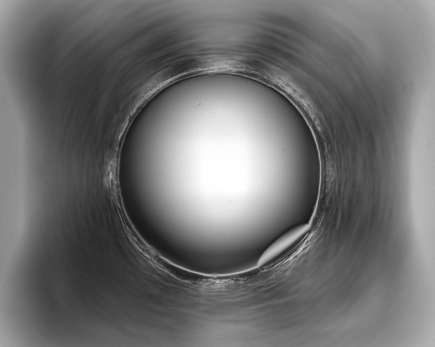 X0000096711481200802051410