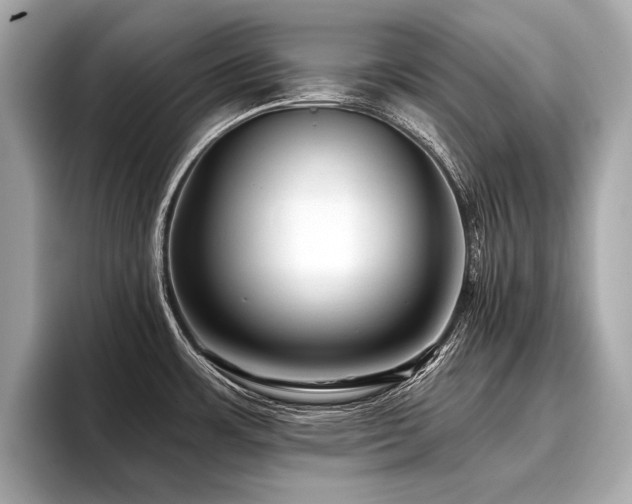 X0000096711483200802051410