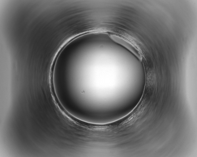 X0000096711484200802051410