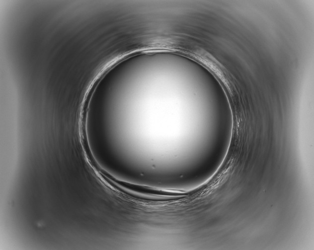 X0000096711485200802051410