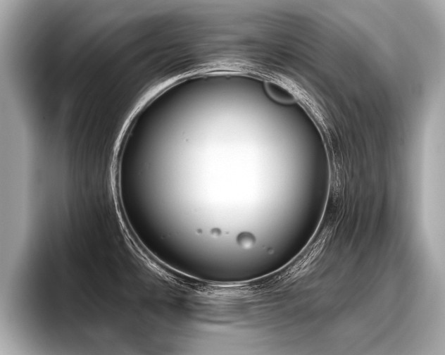 X0000096711486200802051410