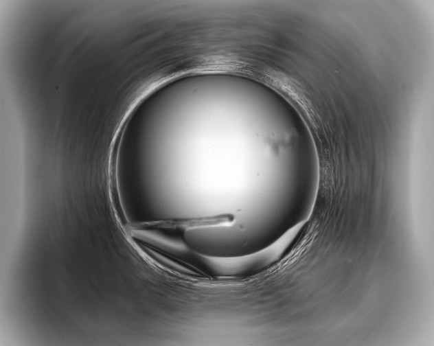 X0000096711487200802051410