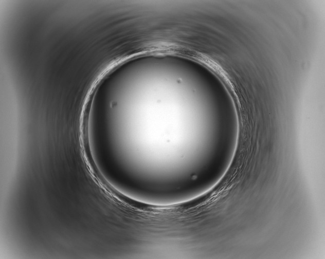 X0000096711488200802051410
