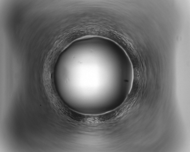 X0000096711489200802051410