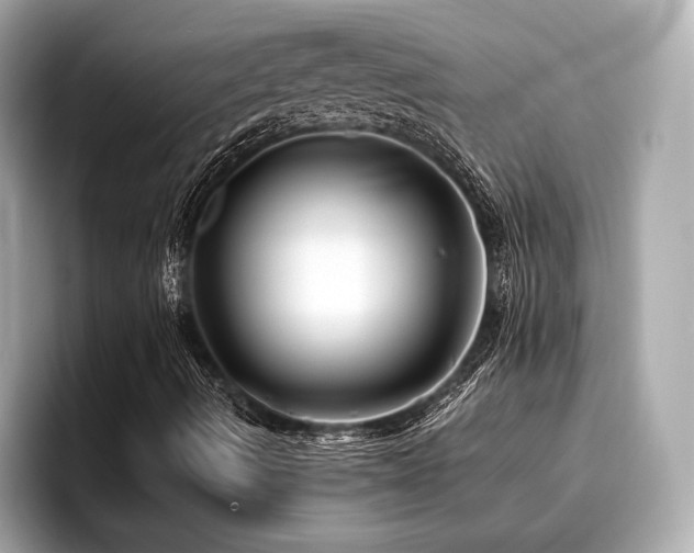 X0000096711490200802051410
