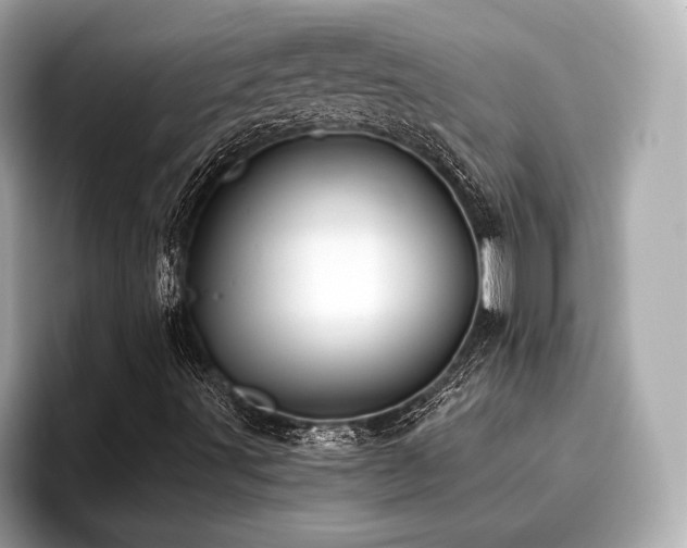 X0000096711491200802051410