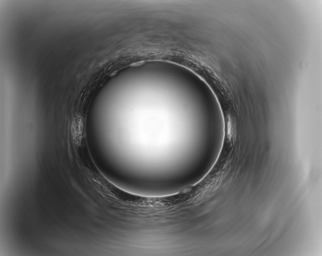 X0000096711492200802051410