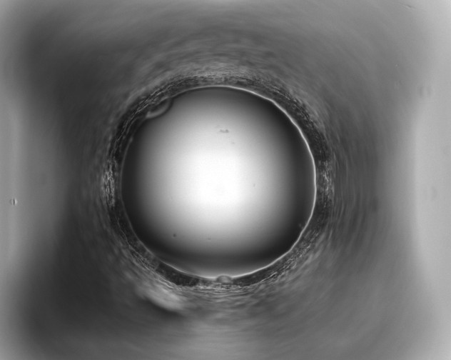 X0000096711493200802051410