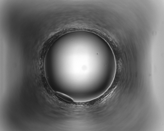 X0000096711494200802051410