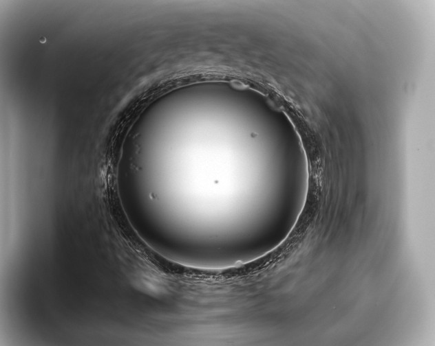 X0000096711495200802051410