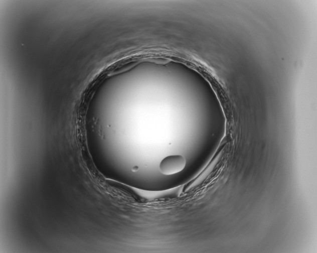 X0000096711496200802051410