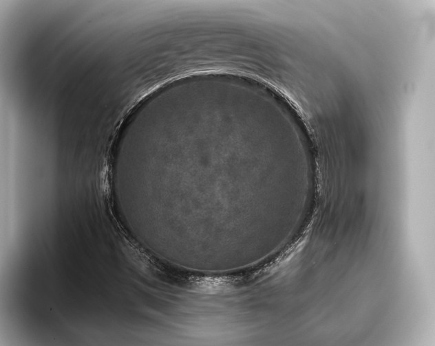 X0000096711497200802051410