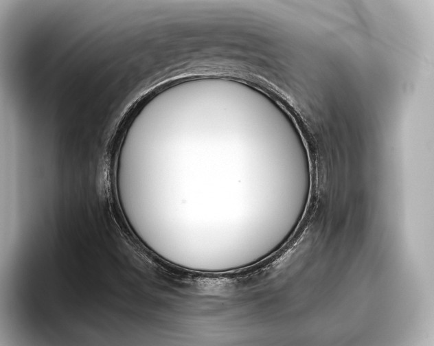 X0000096711498200802051410