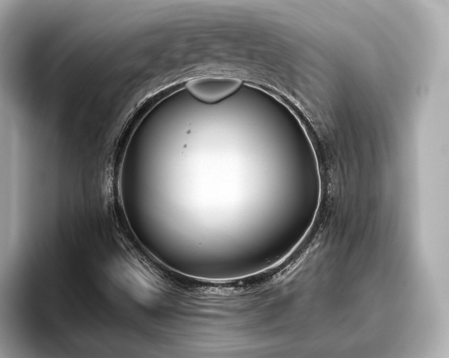 X0000096711499200802051410