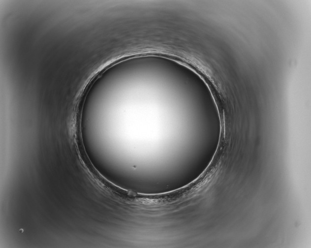 X0000096711500200802051410