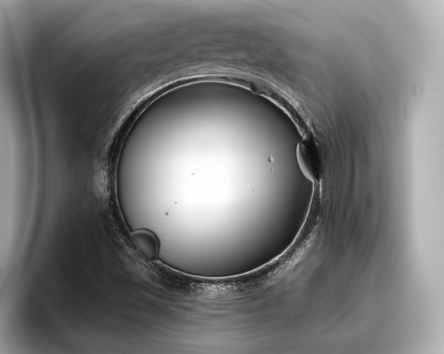 X0000096711501200802051410