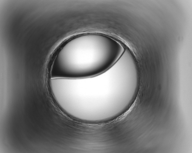 X0000096711502200802051410