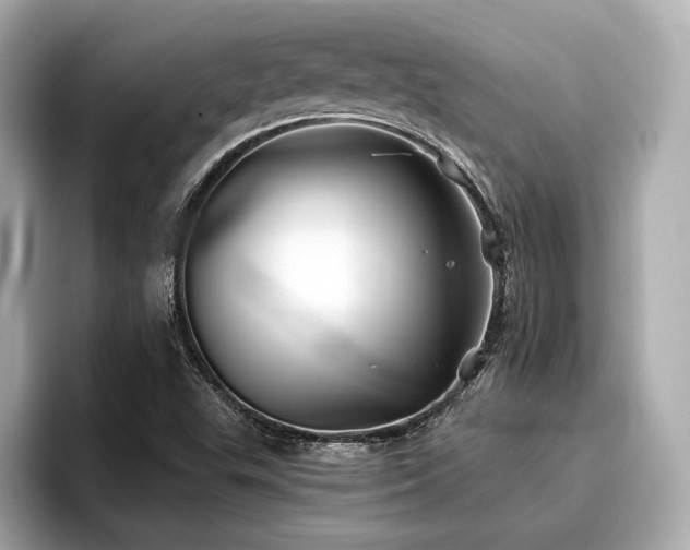 X0000096711503200802051410