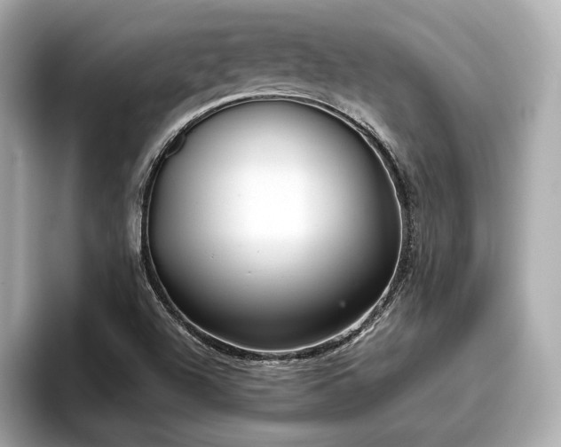 X0000096711504200802051410