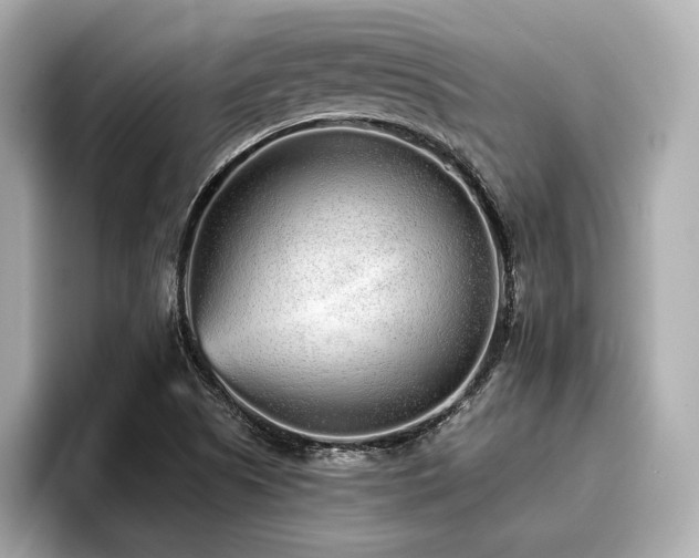 X0000096711505200802051410