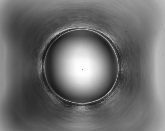 X0000096711507200802051410