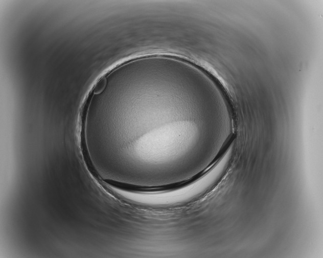 X0000096711508200802051410