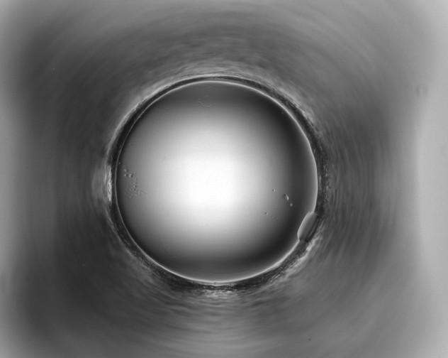 X0000096711509200802051410