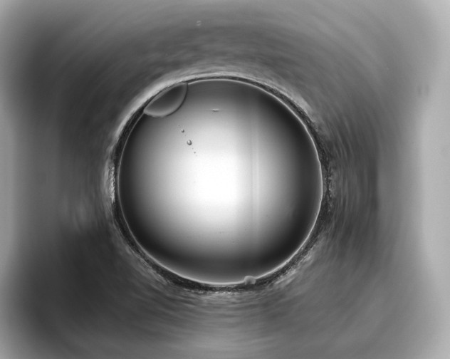 X0000096711510200802051410