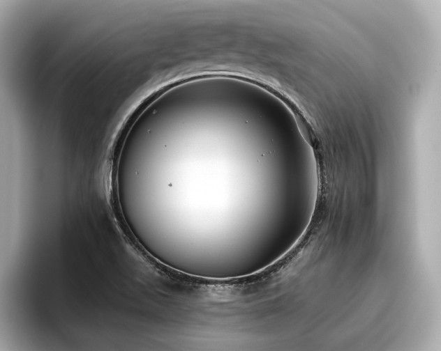 X0000096711511200802051410