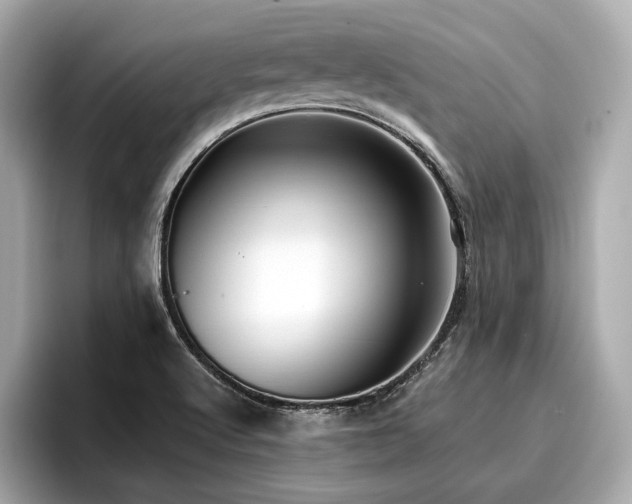 X0000096711512200802051410