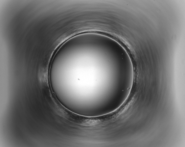 X0000096711513200802051410