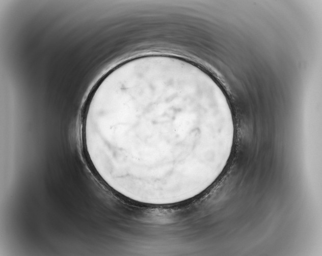 X0000096711514200802051410