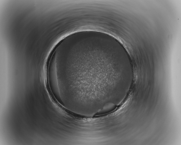 X0000096711515200802051410