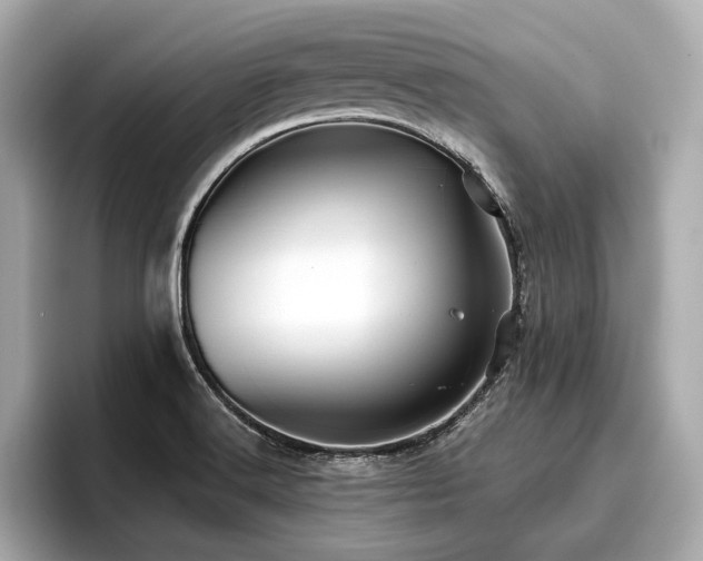 X0000096711516200802051410