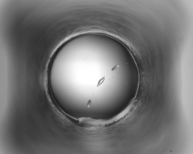 X0000096711518200802051410