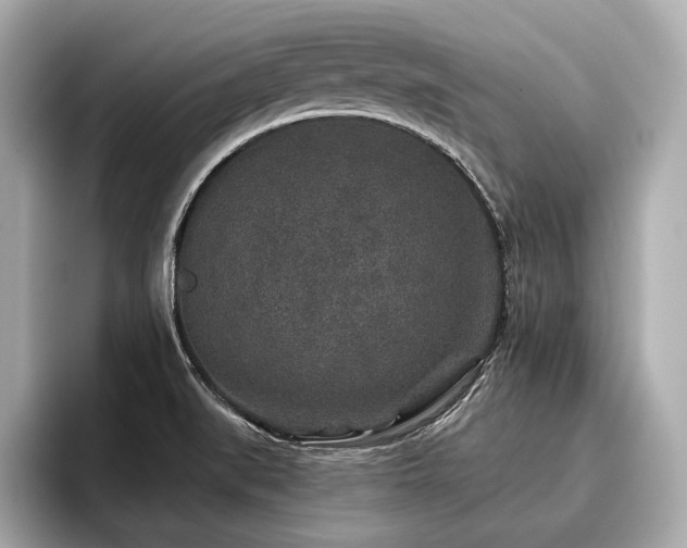 X0000096711519200802051410