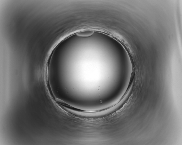 X0000096711520200802051410