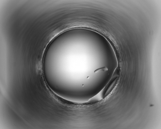 X0000096711521200802051410