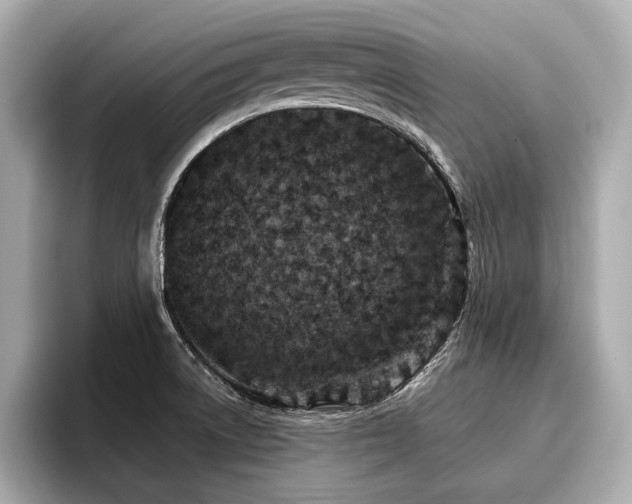 X0000096711522200802051410