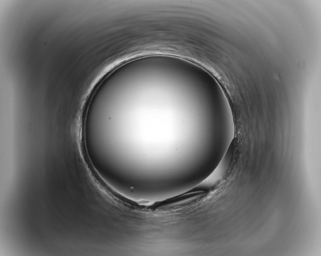 X0000096711523200802051410