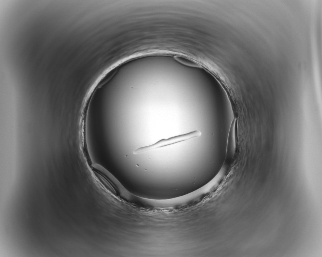 X0000096711524200802051410