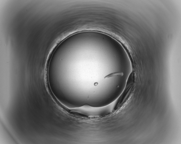 X0000096711525200802051410