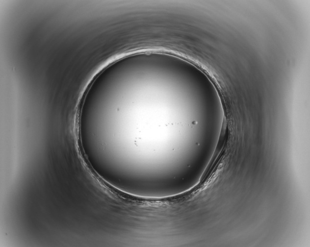 X0000096711526200802051410