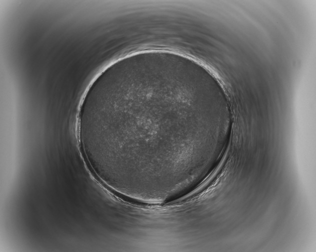 X0000096711527200802051410