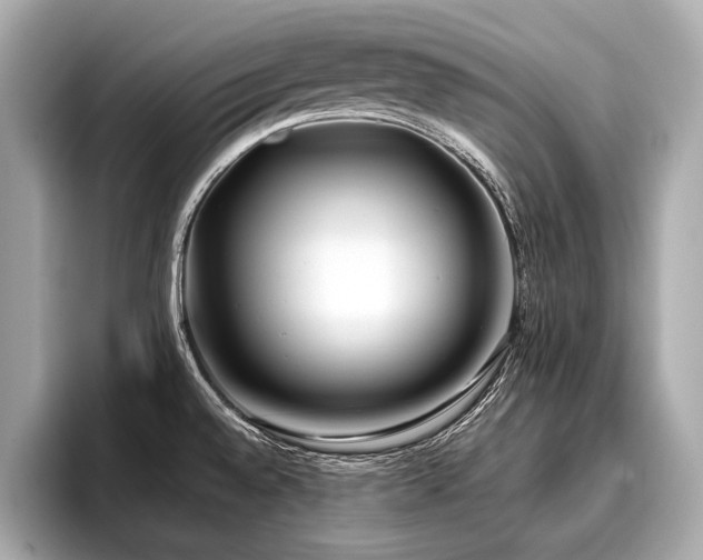 X0000096711528200802051410