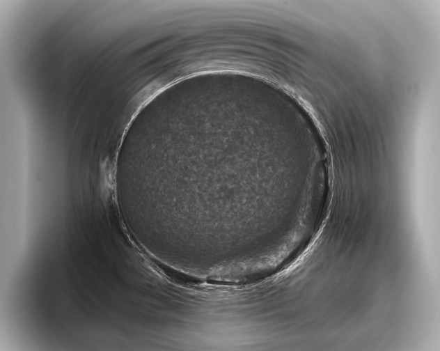 X0000096711529200802051410