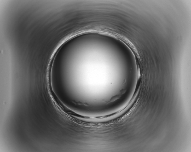 X0000096711530200802051410